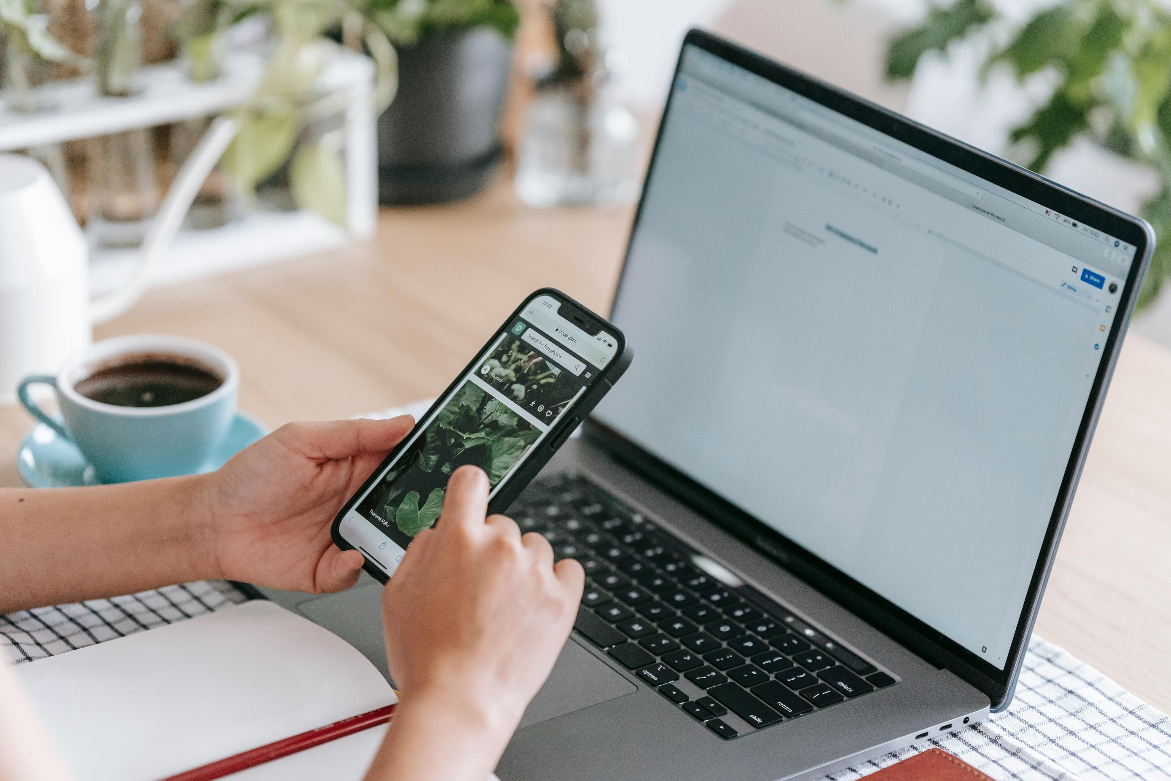 A person is using a smartphone to view plant images while sitting in front of an open laptop, with a cup of coffee nearby. This setting showcases effective "lead magnet ideas" for a gardening or plant care website, where visual content is essential for engagement.