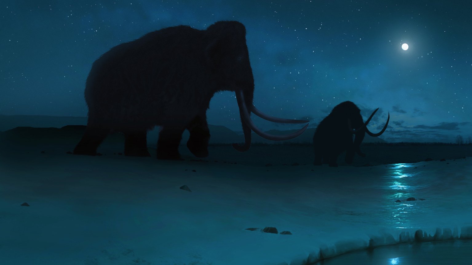 An illustration of woolly mammoths crossing the Arctic tundra.