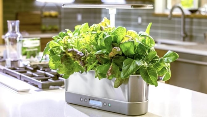 aerogarden harvest elite slim on a kitchen counter next to a stovetop