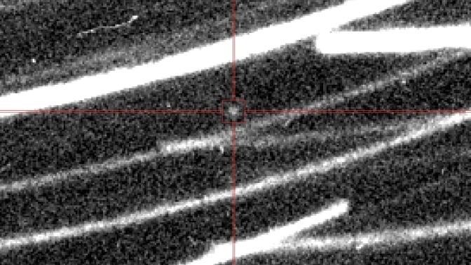 A telescope tracking image of mini moon 2024 PT5