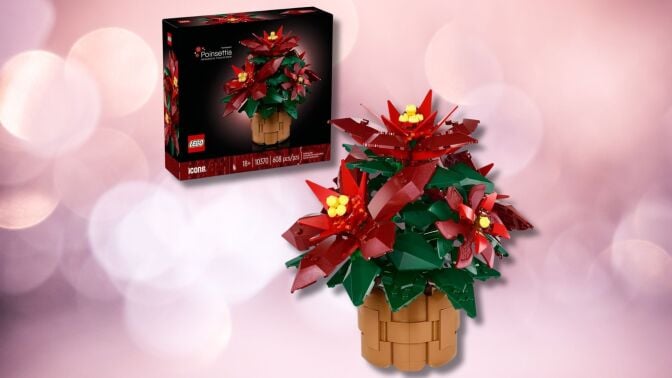 lego icons poinsettia box on the left and built set on the right against a pink circular background