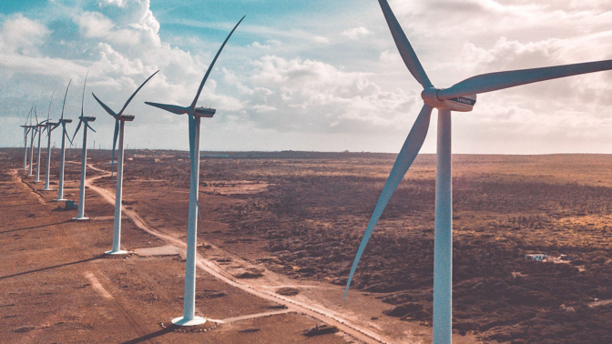 field of wind turbines